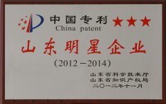 山東明星企業(yè)