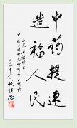 國(guó)家衛生(shēng)部原部長(cháng)錢(qián)信忠為(wèi)劉希山教授題詞